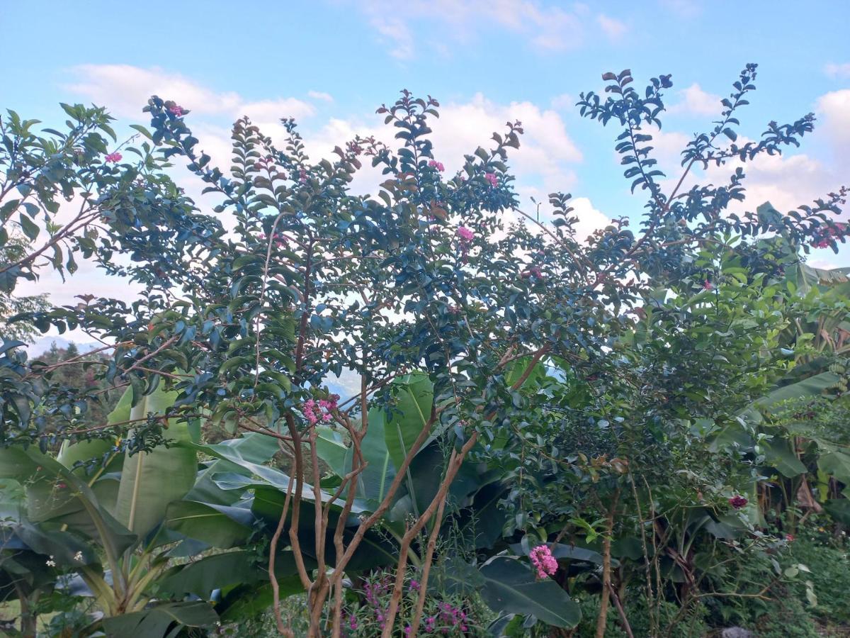 Homestay Hoang Vu ها جيانج المظهر الخارجي الصورة