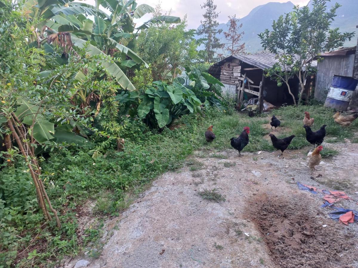 Homestay Hoang Vu ها جيانج المظهر الخارجي الصورة